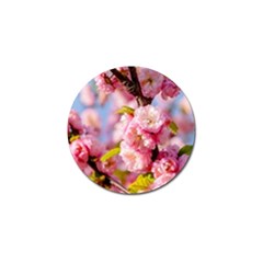 Flowering Almond Flowersg Golf Ball Marker (4 Pack) by FunnyCow