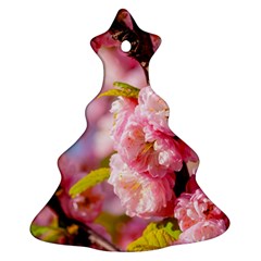 Flowering Almond Flowersg Christmas Tree Ornament (two Sides) by FunnyCow