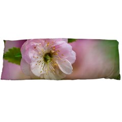 Single Almond Flower Body Pillow Case Dakimakura (two Sides) by FunnyCow