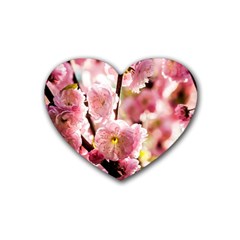 Blooming Almond At Sunset Rubber Coaster (heart)  by FunnyCow