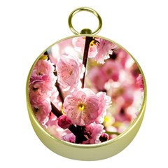 Blooming Almond At Sunset Gold Compasses by FunnyCow