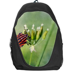 One More Bottle Does Not Hurt Backpack Bag by FunnyCow