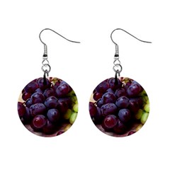 Red And Green Grapes Mini Button Earrings by FunnyCow