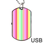 Pastel Rainbow Sorbet Deck Chair Stripes Dog Tag USB Flash (One Side)