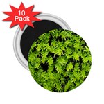 Green Hedge Texture Yew Plant Bush Leaf 2.25  Magnets (10 pack) 