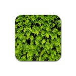 Green Hedge Texture Yew Plant Bush Leaf Rubber Square Coaster (4 pack) 