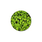 Green Hedge Texture Yew Plant Bush Leaf Golf Ball Marker