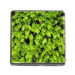 Green Hedge Texture Yew Plant Bush Leaf Memory Card Reader (Square 5 Slot)