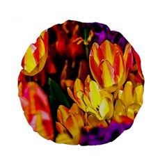 Fancy Tulip Flowers In Spring Standard 15  Premium Round Cushions by FunnyCow
