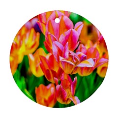 Blushing Tulip Flowers Round Ornament (two Sides) by FunnyCow