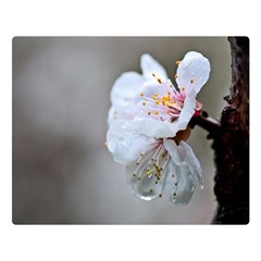 Rainy Day Of Hanami Season Double Sided Flano Blanket (large)  by FunnyCow