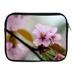 Soft Rains Of Spring Apple Ipad 2/3/4 Zipper Cases by FunnyCow