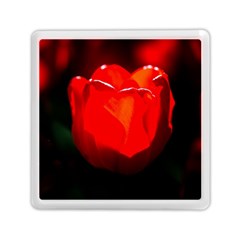 Red Tulip A Bowl Of Fire Memory Card Reader (square) by FunnyCow