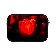 Red Tulip A Bowl Of Fire Apple Ipad Mini Zipper Cases by FunnyCow