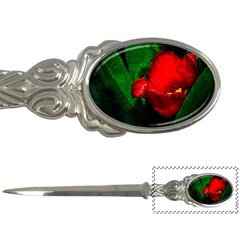 Red Tulip After The Shower Letter Opener by FunnyCow