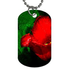 Red Tulip After The Shower Dog Tag (one Side) by FunnyCow