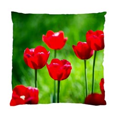 Red Tulip Flowers, Sunny Day Standard Cushion Case (one Side) by FunnyCow