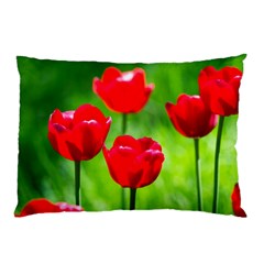 Red Tulip Flowers, Sunny Day Pillow Case (two Sides) by FunnyCow