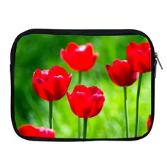 Red Tulip Flowers, Sunny Day Apple Ipad 2/3/4 Zipper Cases by FunnyCow