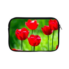 Red Tulip Flowers, Sunny Day Apple Ipad Mini Zipper Cases by FunnyCow