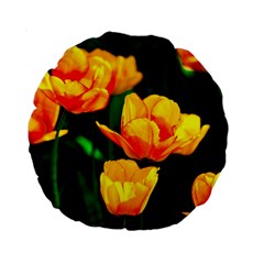 Yellow Orange Tulip Flowers Standard 15  Premium Round Cushions by FunnyCow