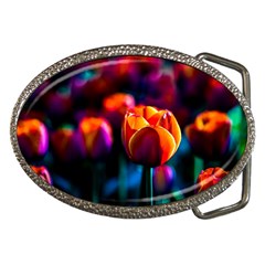 Red Tulips Belt Buckles by FunnyCow