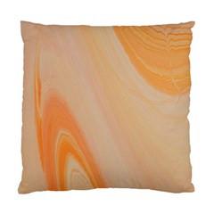 Orange 2 Standard Cushion Case (one Side)