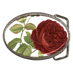 Rose 1077964 1280 Belt Buckles by vintage2030