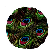 Peacock Feathers Color Plumage Standard 15  Premium Round Cushions by Celenk