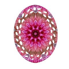 Flower Mandala Art Pink Abstract Oval Filigree Ornament (two Sides) by Simbadda