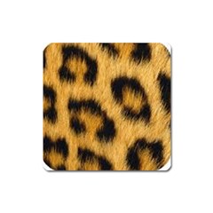 Animal Print Leopard Square Magnet by NSGLOBALDESIGNS2
