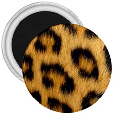Leopard Print 3  Magnets by NSGLOBALDESIGNS2