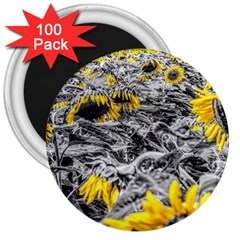 Sunflower Field Girasol Sunflower 3  Magnets (100 Pack)