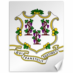 Coat Of Arms Of Connecticut Canvas 12  X 16  by abbeyz71