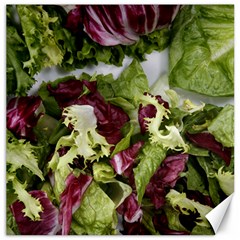 Salad Lettuce Vegetable Canvas 20  X 20  by Sapixe