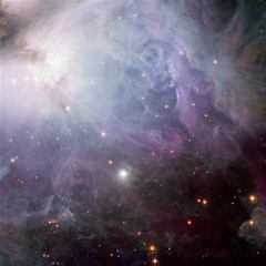 Orion Nebula Pastel Violet Purple Turquoise Blue Star Formation  Canvas 16  X 16  by genx