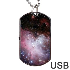 Eagle Nebula Wine Pink And Purple Pastel Stars Astronomy Dog Tag Usb Flash (two Sides) by genx