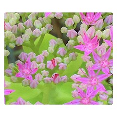 Hot Pink Succulent Sedum With Fleshy Green Leaves Double Sided Flano Blanket (small) 