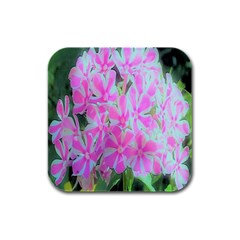 Hot Pink And White Peppermint Twist Garden Phlox Rubber Square Coaster (4 Pack)  by myrubiogarden