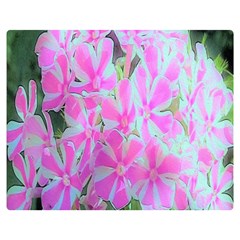 Hot Pink And White Peppermint Twist Garden Phlox Double Sided Flano Blanket (medium)  by myrubiogarden