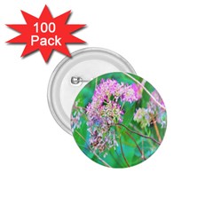 Invincibelle Spirit Hot Pink Hydrangeas On Aqua Green 1 75  Buttons (100 Pack)  by myrubiogarden