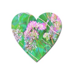 Invincibelle Spirit Hot Pink Hydrangeas On Aqua Green Heart Magnet by myrubiogarden