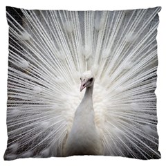Peacock White Bird Nature Large Cushion Case (two Sides) by Wegoenart
