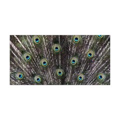 Background Peacock Feathers Yoga Headband by Wegoenart