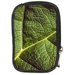 Green Leaf Giant Rhubarb Mammoth Sheet Compact Camera Leather Case by Wegoenart