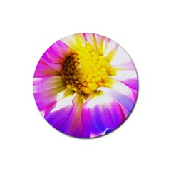 Purple, Pink And White Dahlia With A Bright Yellow Center Rubber Round Coaster (4 Pack)  by myrubiogarden