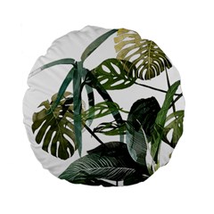 Botanical Illustration Palm Leaf Standard 15  Premium Flano Round Cushions