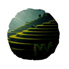 Scenic View Of Rice Paddy Standard 15  Premium Flano Round Cushions by Sudhe