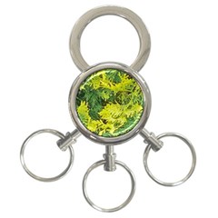 Garden Of The Phoenix 3-ring Key Chains by Riverwoman