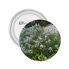 Lurie Garden Amsonia 2 25  Buttons by Riverwoman